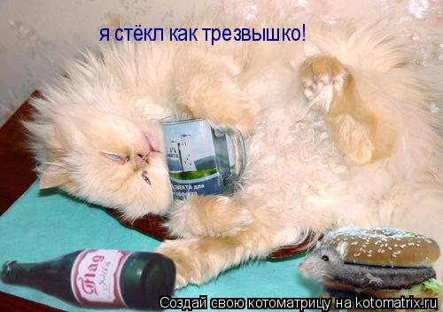 Котоматрица: я стёкл как трезвышко!