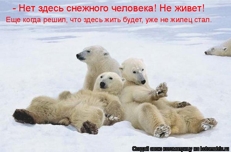 Котоматрица: - Нет здесь снежного человека! Не живет! Еще когда решил, что здесь жить будет, уже не жилец стал.