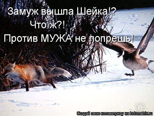 Котоматрица: Что ж?! Против МУЖА не попрешь! Замуж вышла Шейка!?