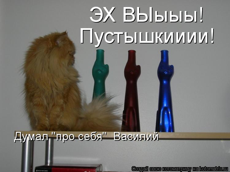 Котоматрица: ЭХ ВЫыыы! Пустышкииии! Думал "про себя"  Василий