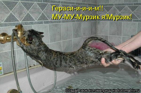 Котоматрица: Гераси-и-и-и-м!! МУ-МУ-Мурзик я!Мурзик!