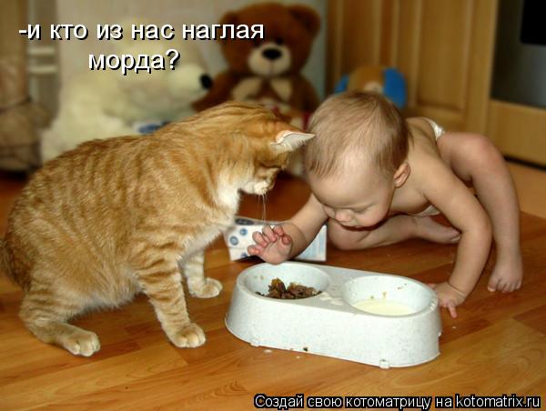 Котоматрица: -и кто из нас наглая морда?
