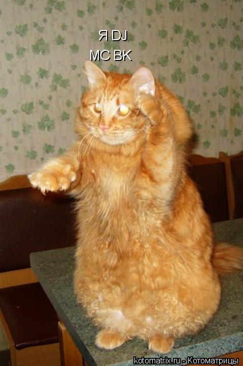 Котоматрица: Я DJ MC BK
