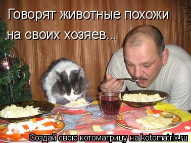 Котоматрица: Говорят животные похожи на своих хозяев...