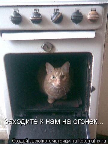Котоматрица: Заходите к нам на огонек...
