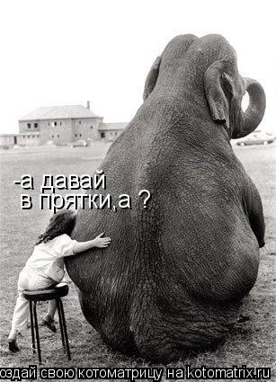 Котоматрица: -а давай в прятки,а ?