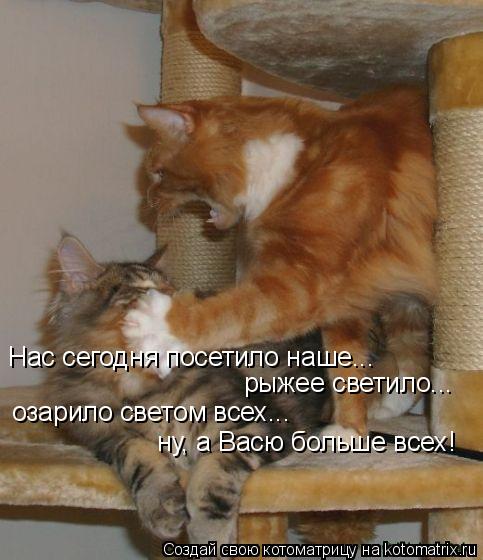 Нас сегодня посетило наше... рыжее светило... озарило светом всех... ну, а Васю больше всех!... Котоматрица: Нас сегодня посетило наше... рыжее светило... озарило светом всех... ну, а Васю больше всех!