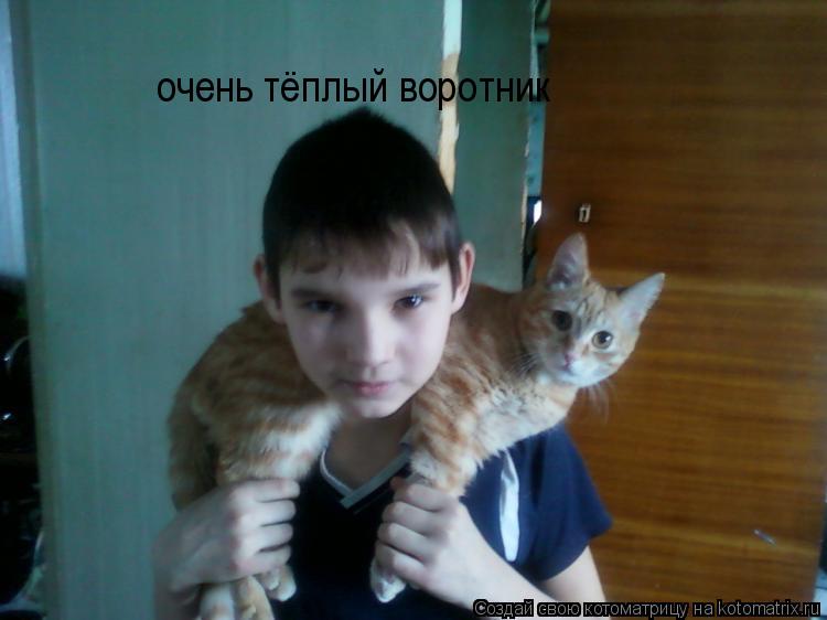 Котоматрица: очень тёплый воротник