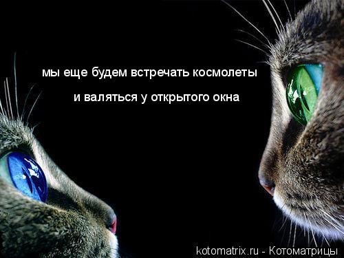 Котоматрица: мы еще будем встречать космолеты и валяться у открытого окна