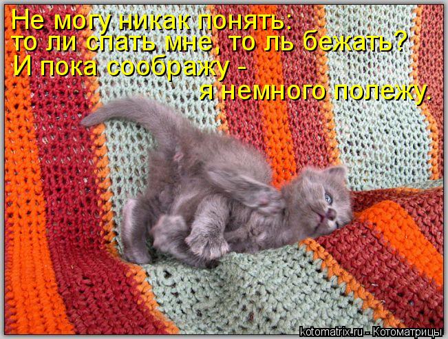 Не могу никак понять: то ли спать мне, то ль бежать? И пока соображу - я немного полежу.... Котоматрица: Не могу никак понять: то ли спать мне, то ль бежать? И пока соображу - я немного полежу.