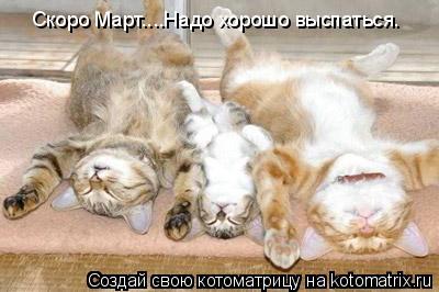 Котоматрица: Скоро Март....Надо хорошо выспаться.