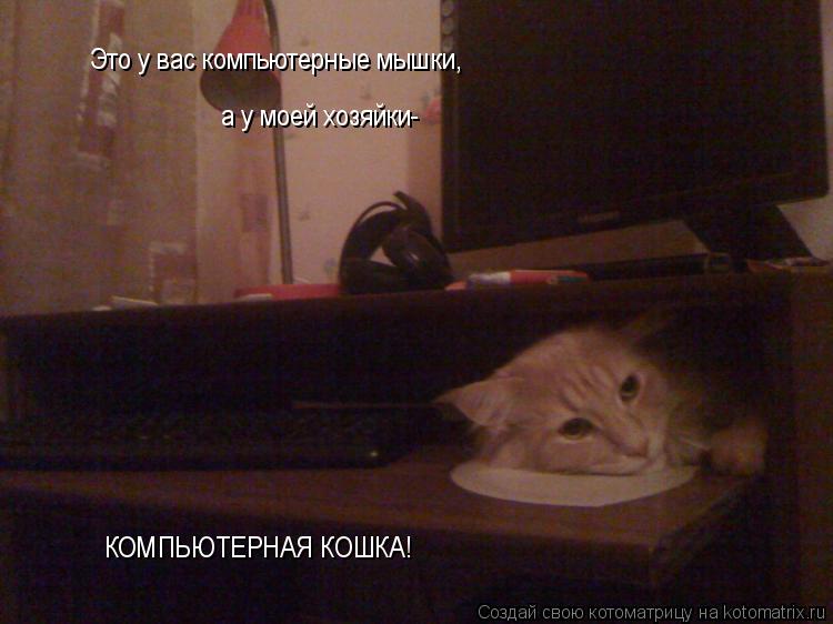 Котоматрица: Это у вас компьютерные мышки, а у моей хозяйки- КОМПЬЮТЕРНАЯ КОШКА!