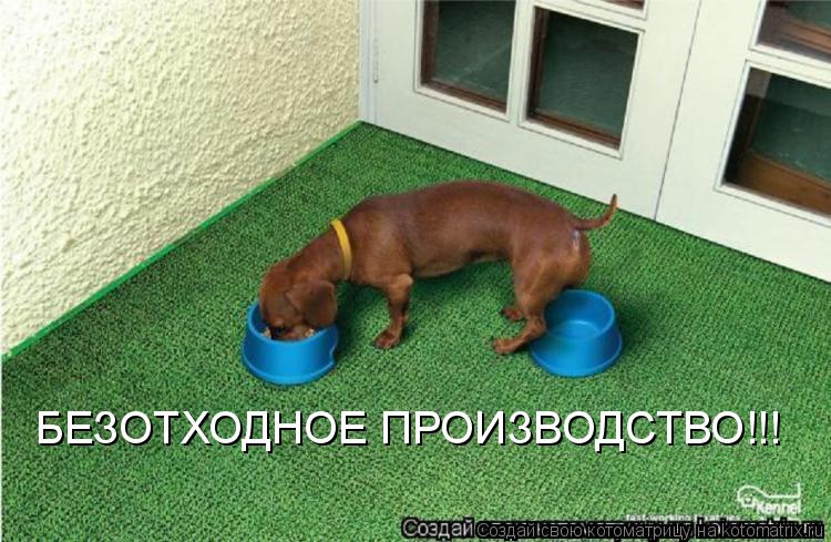 Котоматрица: БЕЗОТХОДНОЕ ПРОИЗВОДСТВО!!!