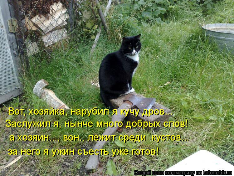 Вот, хозяйка, нарубил я кучу дров... Заслужил я, нынче много добрых слов! а хозяин..., вон.. лежит ср... Котоматрица: Вот, хозяйка, нарубил я кучу дров... Заслужил я, нынче много добрых слов! а хозяин..., вон.. лежит среди кустов... за него я ужин съесть уже готов!