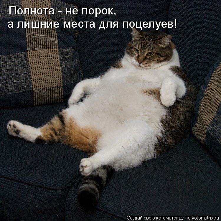 Котоматрица: Полнота - не порок, а лишние места для поцелуев!