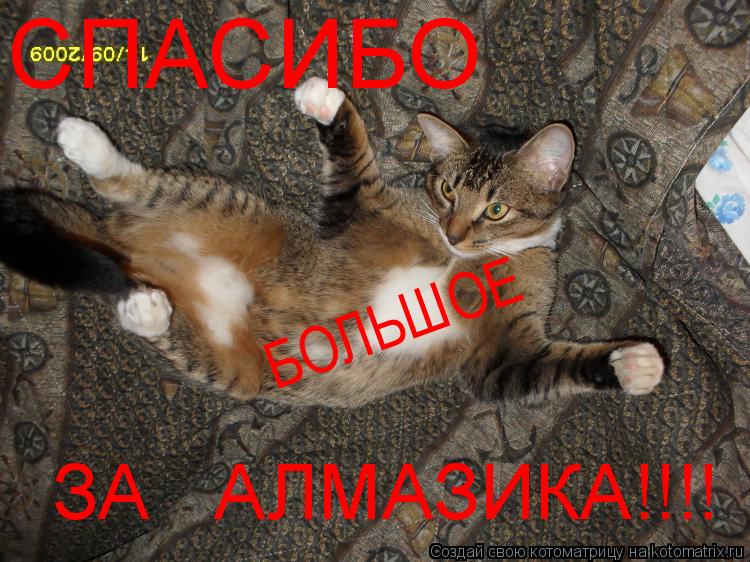 Котоматрица: БОЛЬШОЕ СПАСИБО ЗА   АЛМАЗИКА!!!!