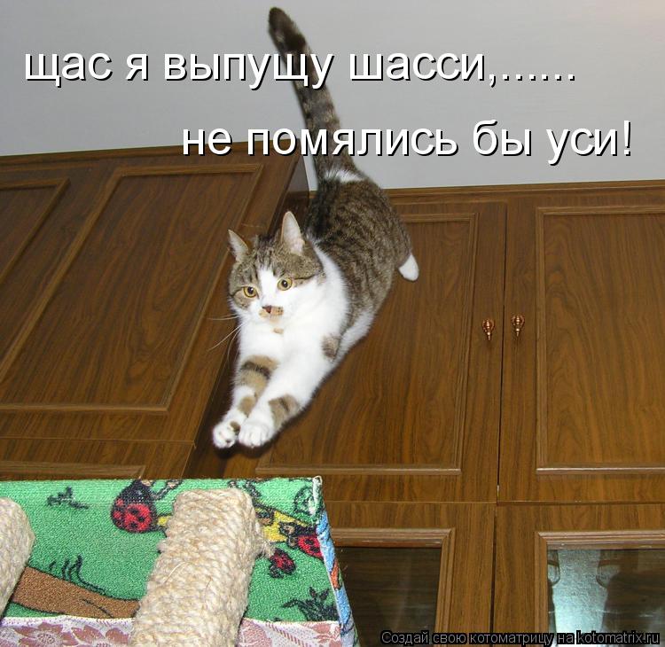 Котоматрица: щас я выпущу шасси,...... не помялись бы уси!