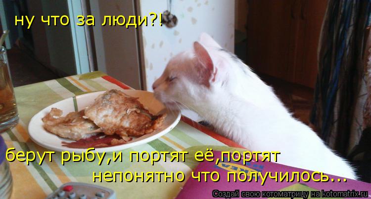 Котоматрица: ну что за люди?! берут рыбу,и портят её,портят непонятно что получилось...