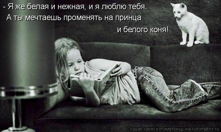 Котоматрица: - Я же белая и нежная, и я люблю тебя. А ты мечтаешь променять на принца и белого коня!