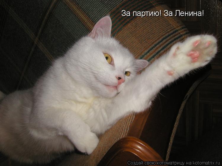 Котоматрица: За партию! За Ленина!