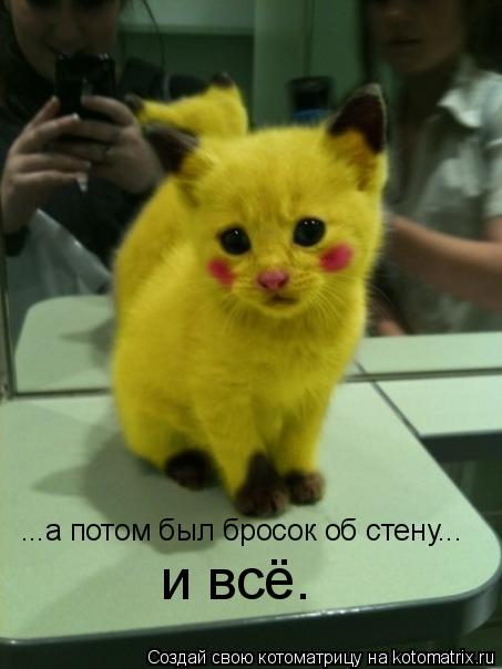 Котоматрица: ...а потом был бросок об стену...  и всё.
