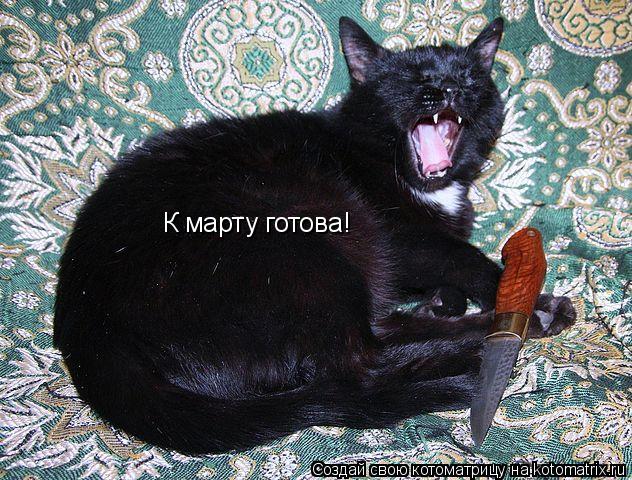 Котоматрица: К марту готова!