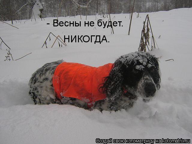Котоматрица: - Весны не будет.  НИКОГДА.