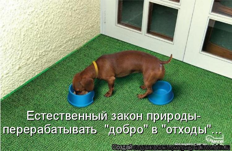 Естественный закон природы- перерабатывать "добро" в "отходы"...... Котоматрица: Естественный закон природы- перерабатывать "добро" в "отходы"...