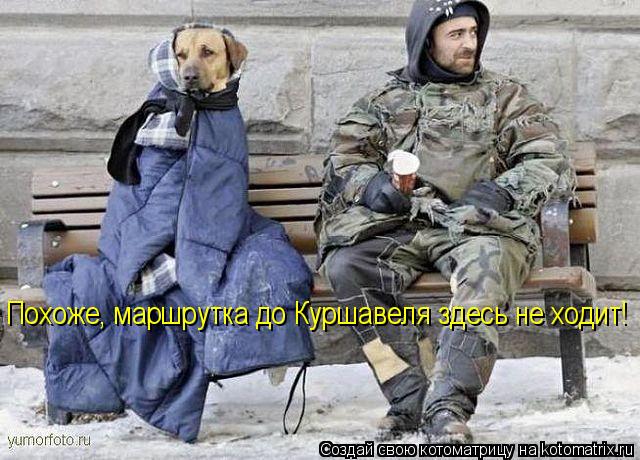 Котоматрица: Похоже, маршрутка до Куршавеля здесь не ходит!