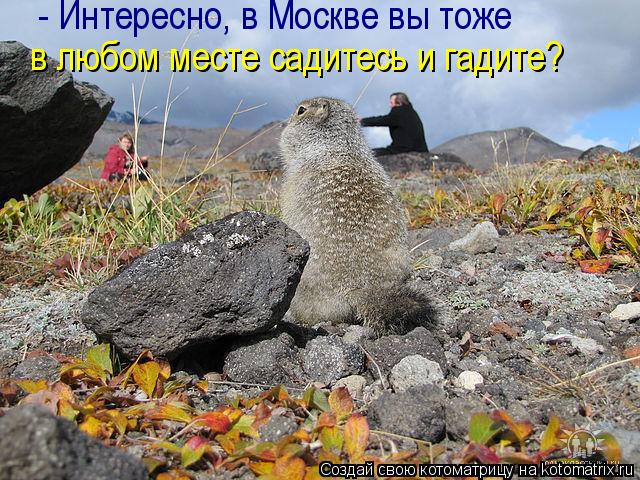 Котоматрица: - Интересно, в Москве вы тоже  в любом месте садитесь и гадите?
