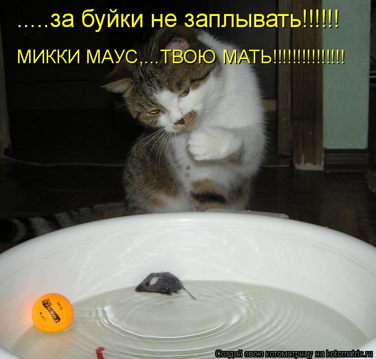 Котоматрица: МИККИ МАУС,...ТВОЮ МАТЬ!!!!!!!!!!!!!!! .....за буйки не заплывать!!!!!!