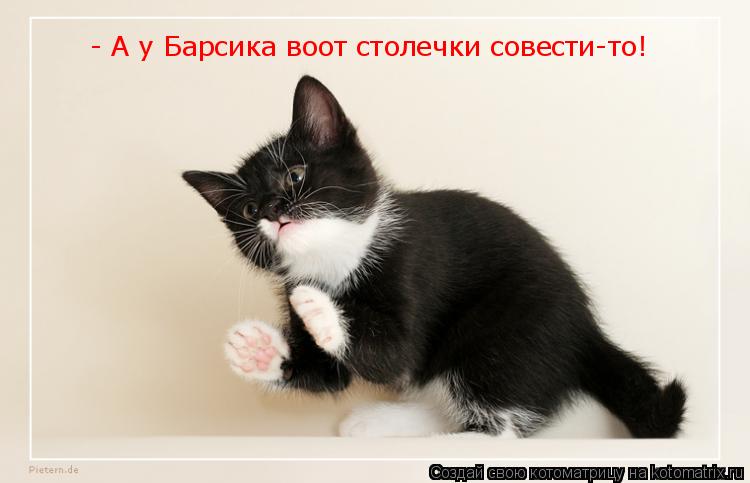 Котоматрица: - А у Барсика воот столечки совести-то!
