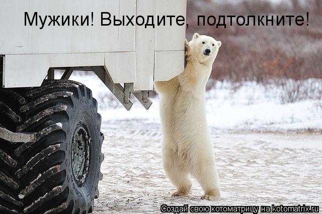Котоматрица: Мужики! Выходите, подтолкните!