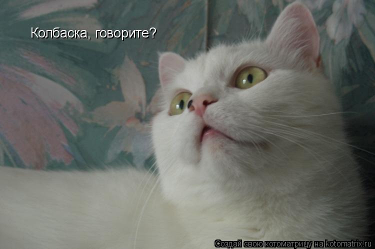 Котоматрица: Колбаска, говорите?