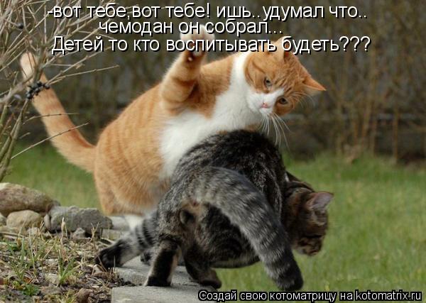 Котоматрица: -вот тебе,вот тебе! ишь..удумал что.. чемодан он собрал... Детей то кто воспитывать будеть???