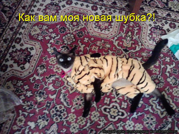 Котоматрица: Как вам моя новая шубка?!
