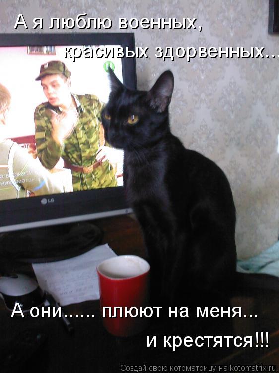 Котоматрица: А я люблю военных, красивых здорвенных... А они...... плюют на меня... и крестятся!!!