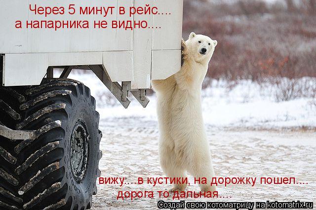 Котоматрица: Через 5 минут в рейс.... а напарника не видно.... вижу....в кустики, на дорожку пошел.... дорога то дальная....
