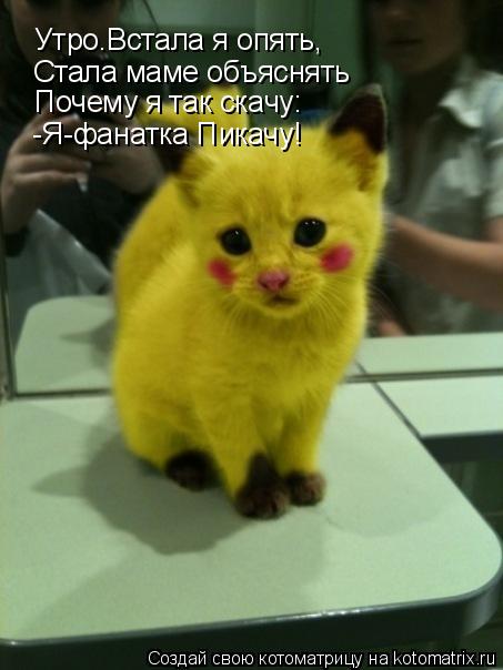 Котоматрица: Утро.Встала я опять, Стала маме объяснять Почему я так скачу: -Я-фанатка Пикачу!