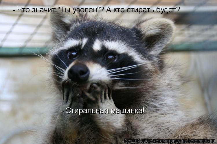- Что значит "Ты уволен"? А кто стирать будет? - Стиральная машинка!... Котоматрица: - Что значит "Ты уволен"? А кто стирать будет? - Стиральная машинка!