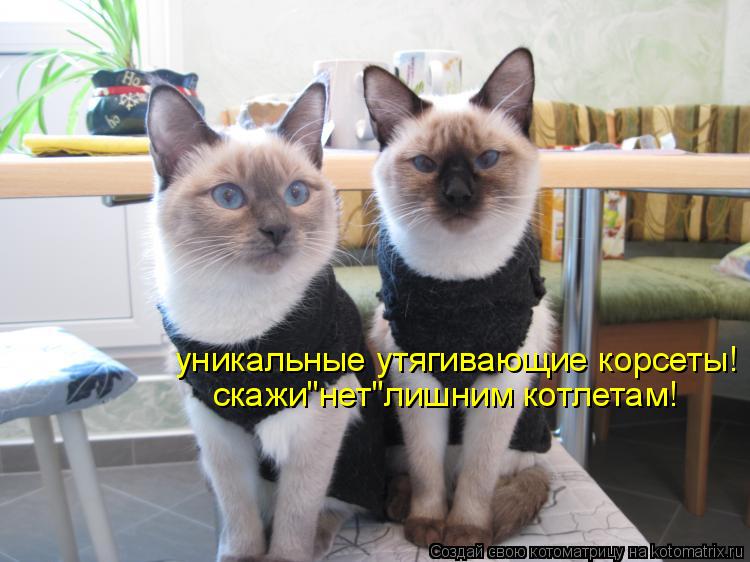 Котоматрица: скажи"нет"лишним котлетам! уникальные утягивающие корсеты!