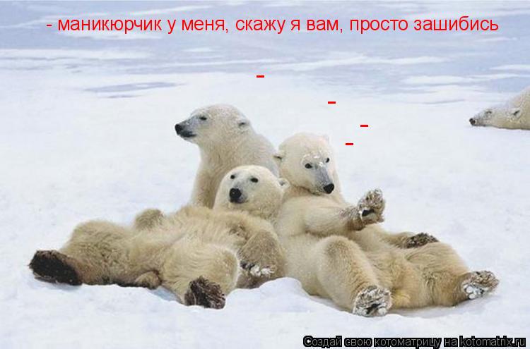 Котоматрица: - маникюрчик у меня, скажу я вам, просто зашибись -  -  -  -