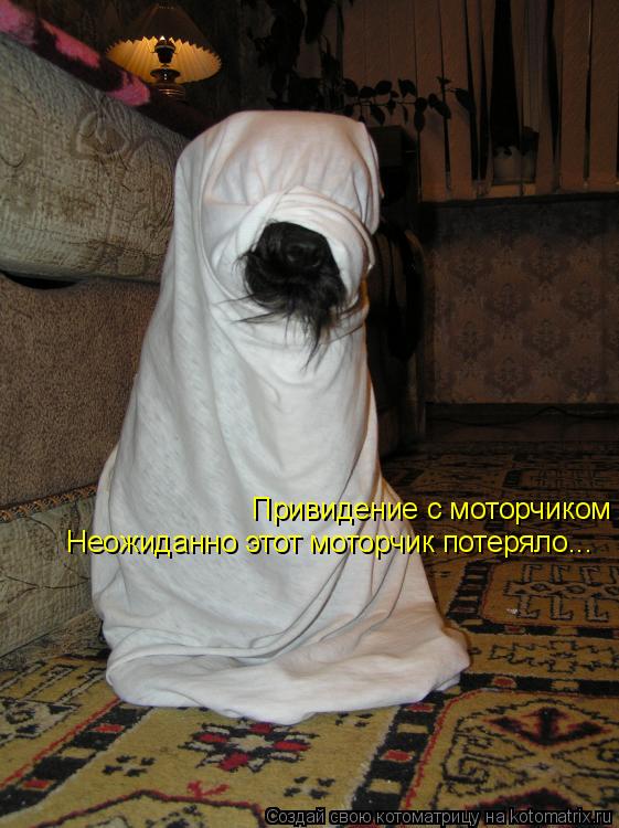 Котоматрица: Привидение с моторчиком Неожиданно этот моторчик потеряло...
