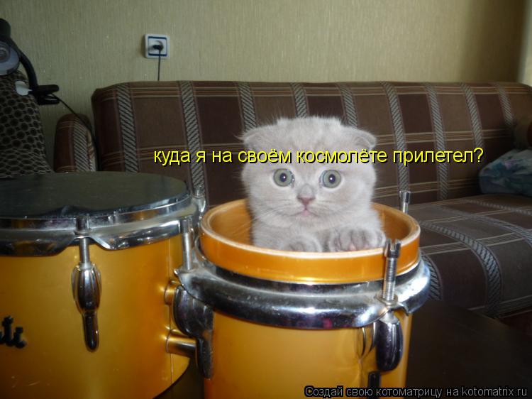 Котоматрица: куда я на своём космолёте прилетел?