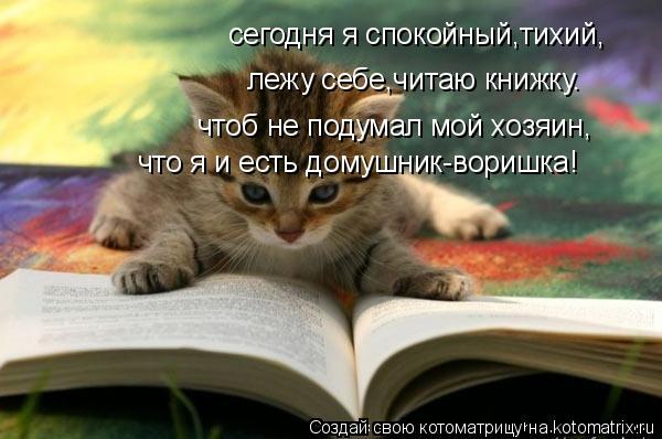 Котоматрица: сегодня я спокойный,тихий, лежу себе,читаю книжку. чтоб не подумал мой хозяин, что я и есть домушник-воришка!