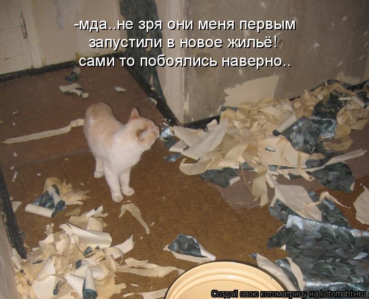 -мда..не зря они меня первым запустили в новое жильё! сами то побоялись наверно..... Котоматрица: -мда..не зря они меня первым запустили в новое жильё! сами то побоялись наверно..