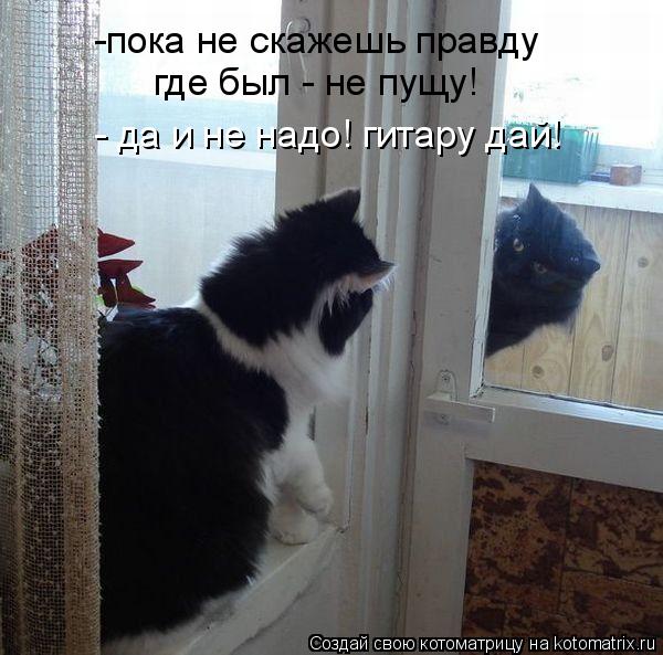 Котоматрица: -пока не скажешь правду где был - не пущу! - да и не надо! гитару дай!