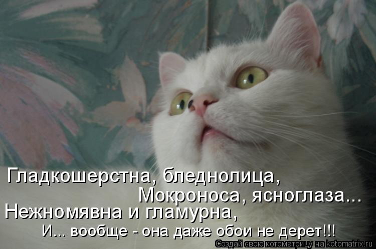 Котоматрица: Гладкошерстна, бледнолица, Мокроноса, ясноглаза...  Нежномявна и гламурна, И... вообще - она даже обои не дерет!!!