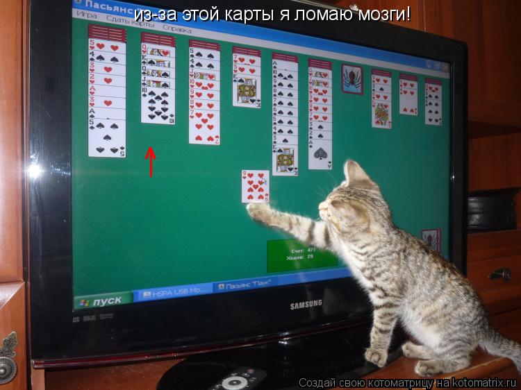 Котоматрица: из-за этой карты я ломаю мозги! | ^