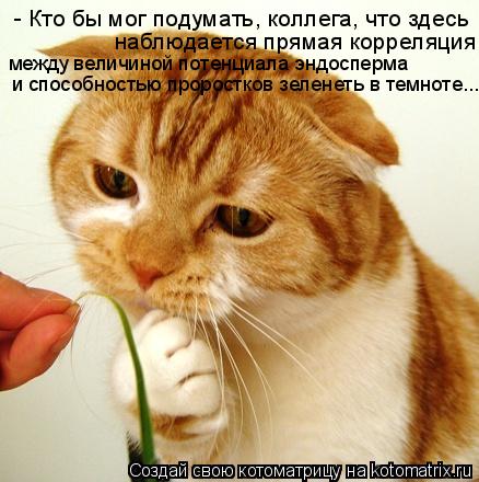 Котоматрица: и способностью проростков зеленеть в темноте... - Кто бы мог подумать, коллега, что здесь    наблюдается прямая корреляция  между величиной по
